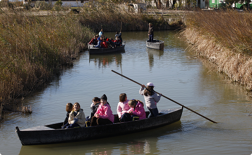 Barques de perxar