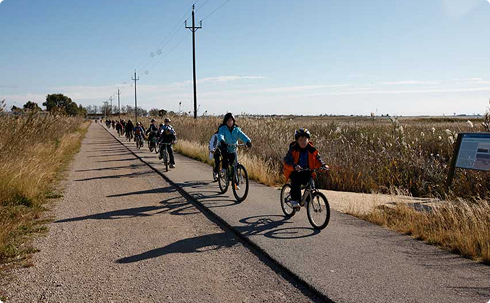 Excursions amb bicicleta