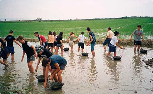 Experiència agrícola