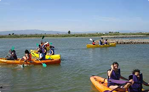Kayaks