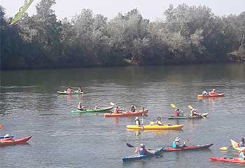 Piragües pel riu Ebre