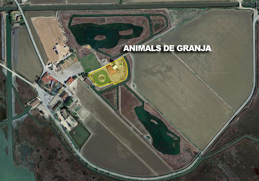 Animals de granja