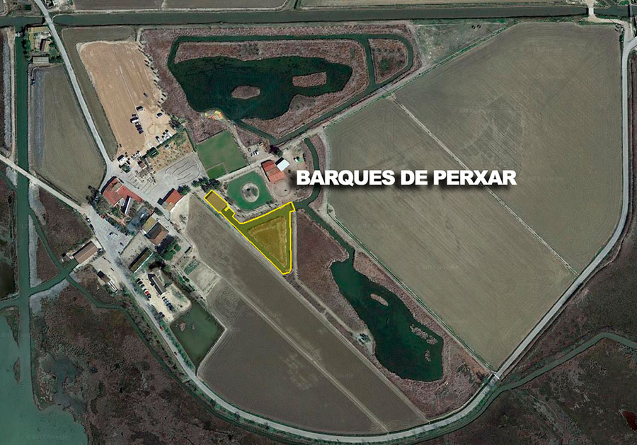 Barquetes de perxar